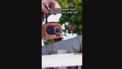 Retro Gramophone Rechargeable Bluetooth Speaker